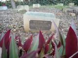 image of grave number 619068
